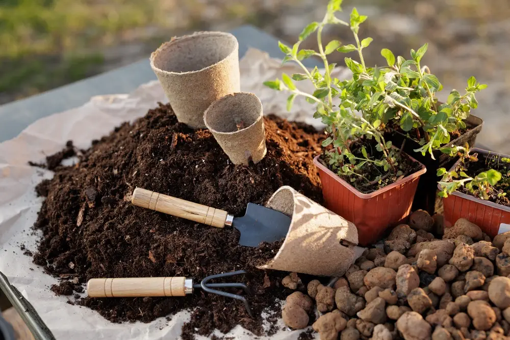 jardinage